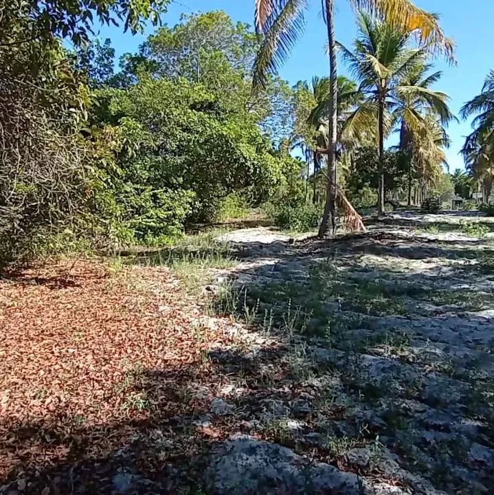 LOTE EM PORTO DE GALINHAS