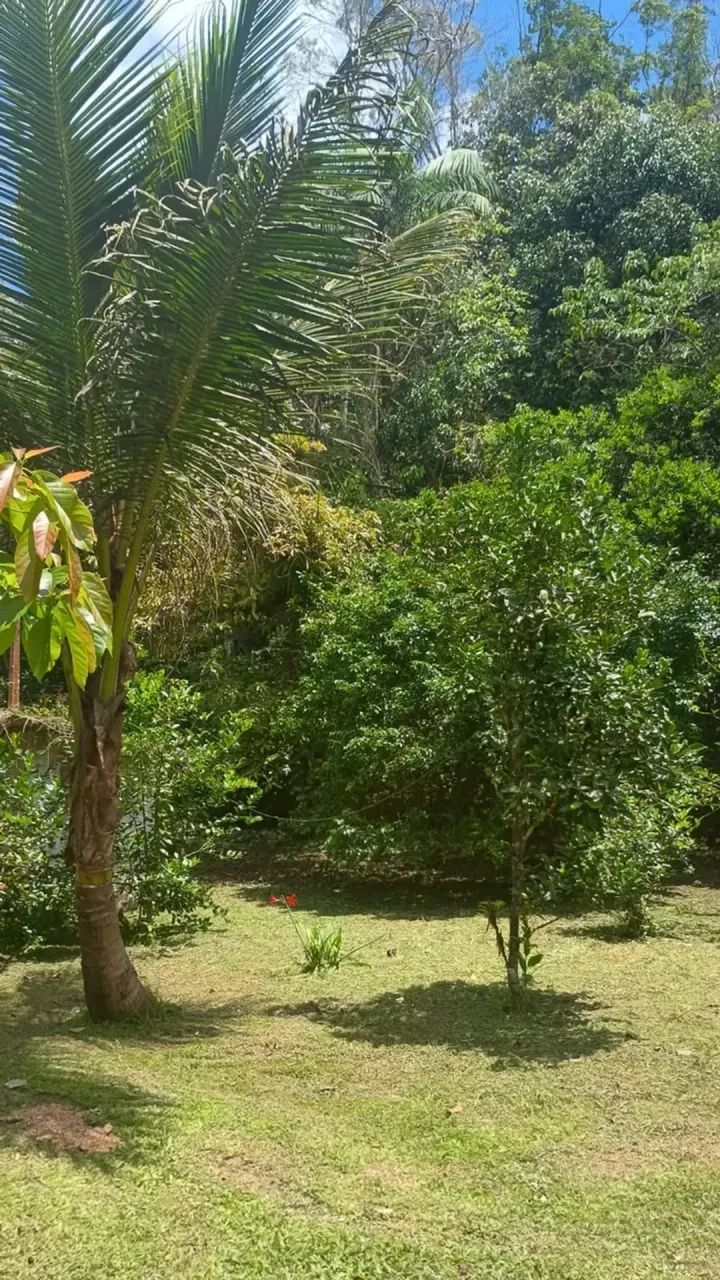 Lindo Sítio em Peruíbe com 5 Alquires! - Foto 3
