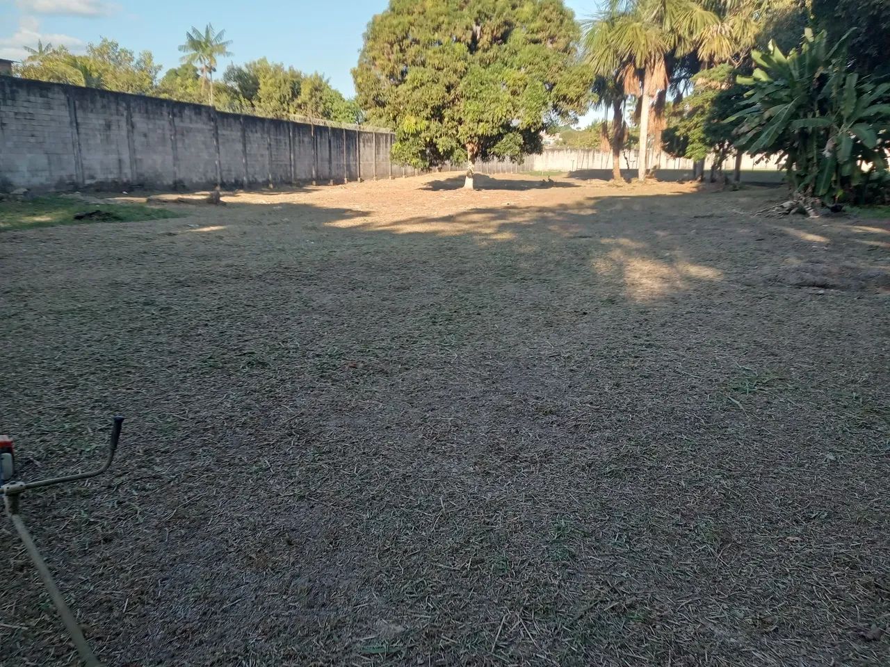 Trabalho com jardinagem - Foto 5