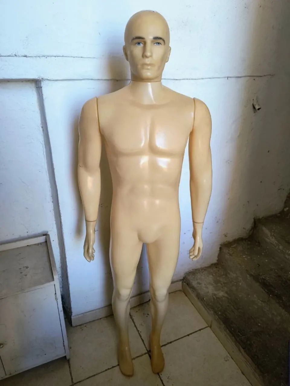 MANEQUIM DE CORPO INTEIRO (MASCULINO)