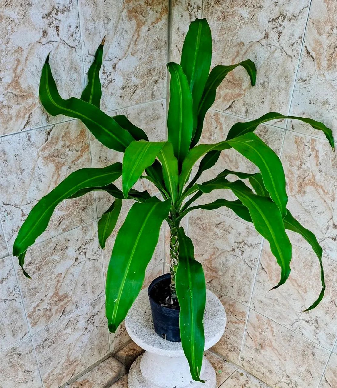 Vendo  - Foto 2