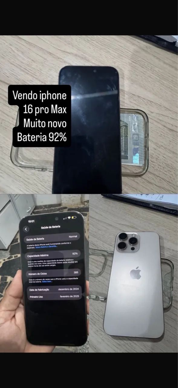 16 pro max 256