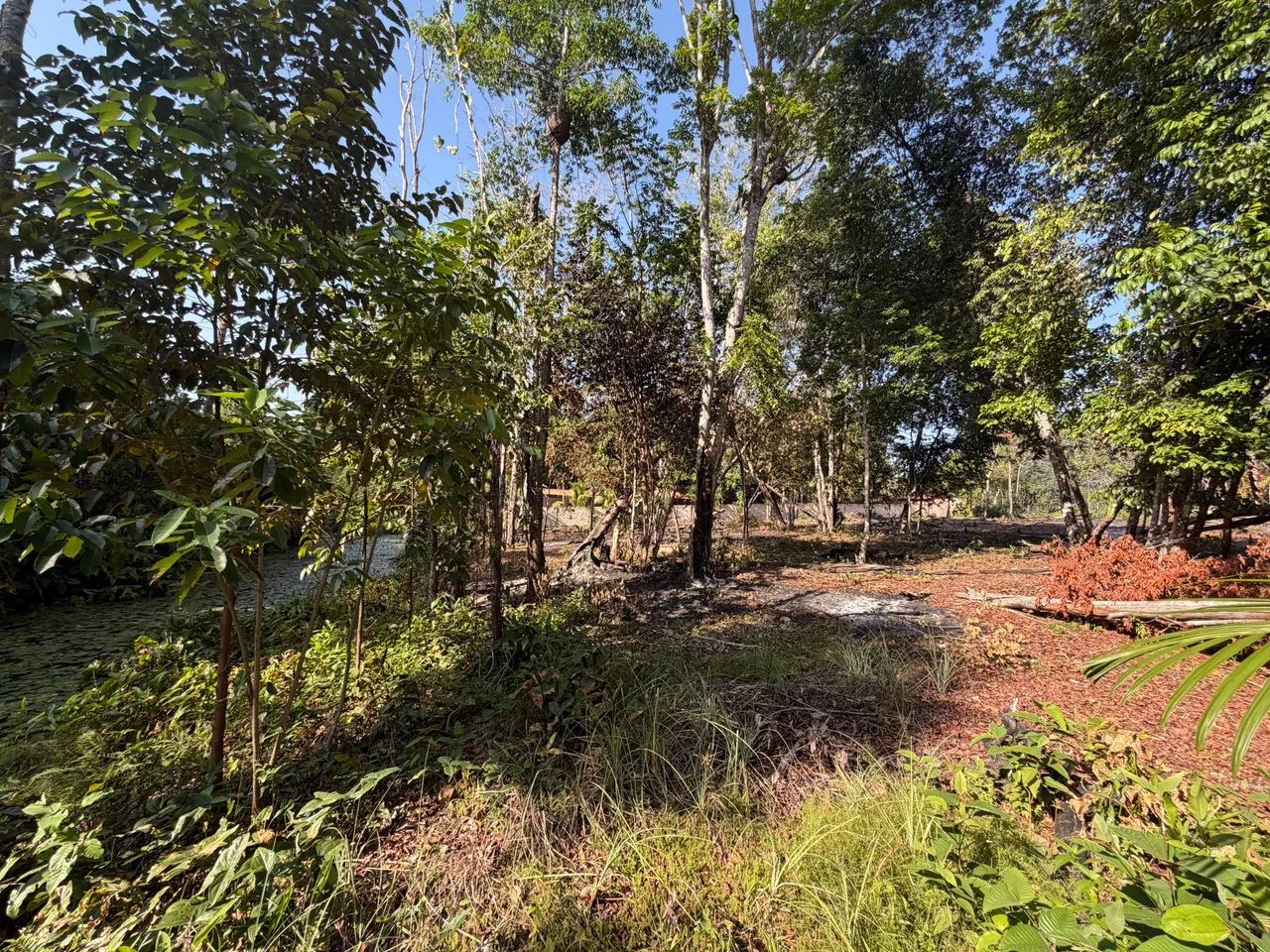 Terreno no Pajuçara  50x80 - Foto 5
