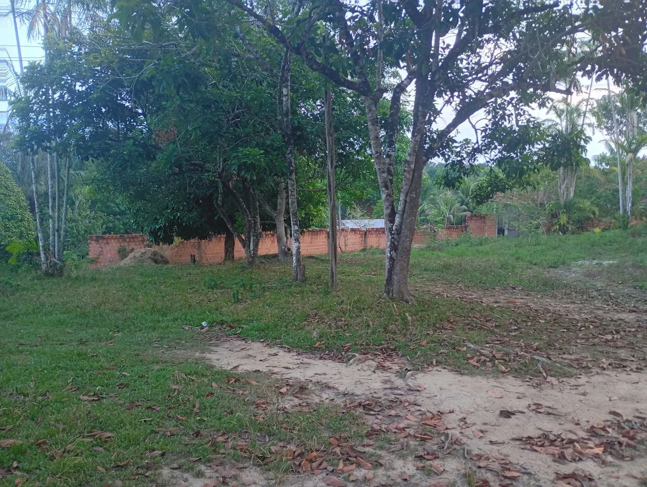  SÍTIO DOS SONHOS R$ 240.000