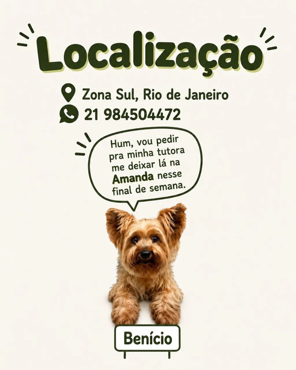 Pet Sitter | Hospedagem, Creche e Passeio para Cães - Foto 4