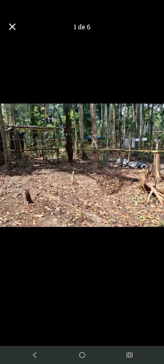 Terreno 