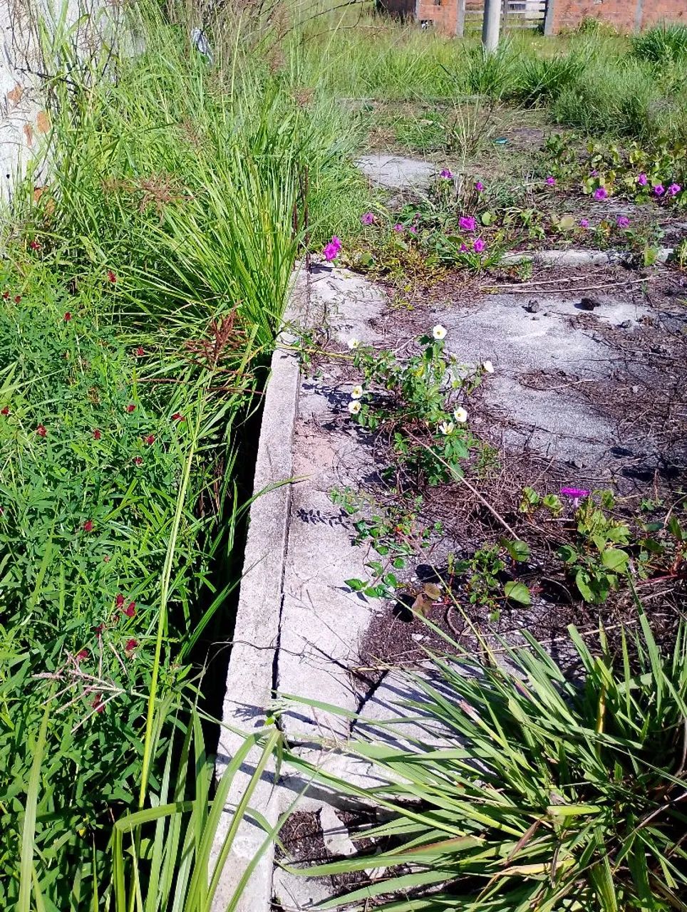 Lote com base construída. - Foto 4