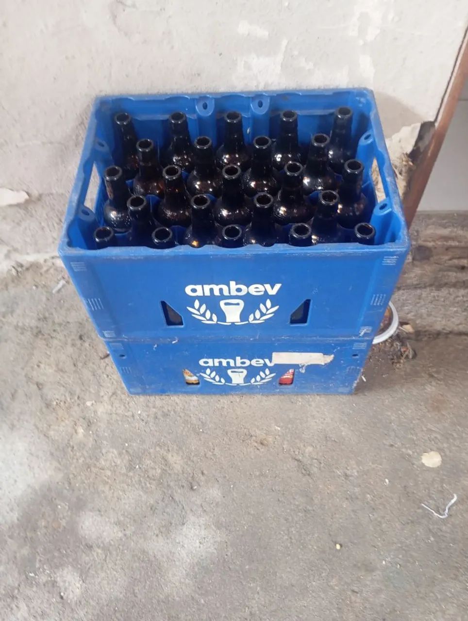 Caixa de barrigudinha  - Foto 2