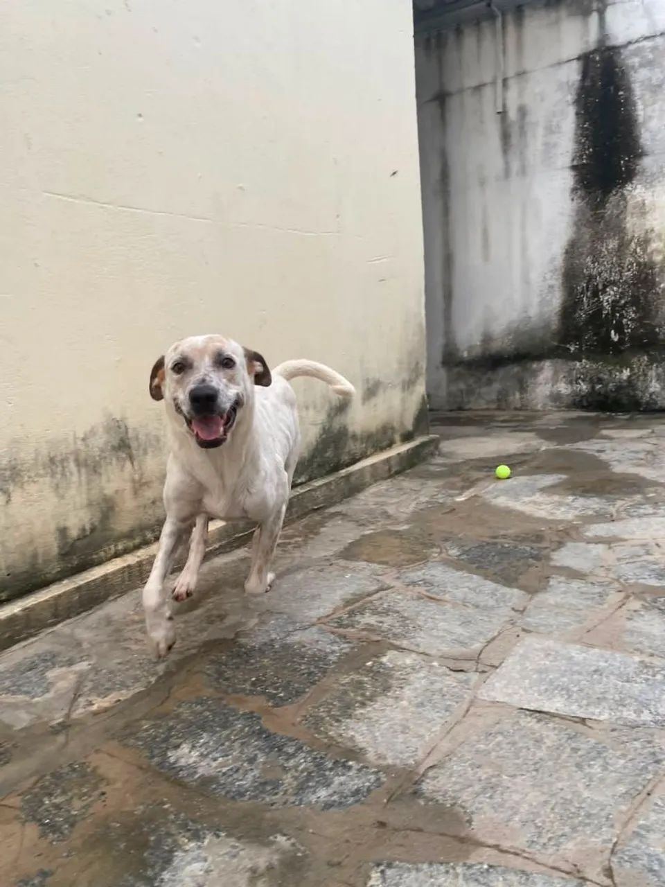Doação  - Foto 4