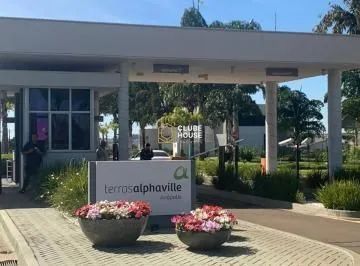 Lote na Rua mais charmosa e arborizada do Terras Alphaville, proximo a portária - Foto 2
