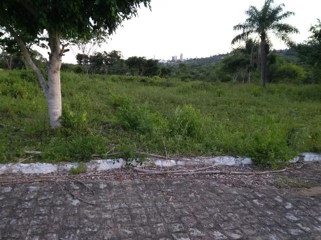 Terreno 12x30m (300m2) plano em rua calçada  - Foto 3