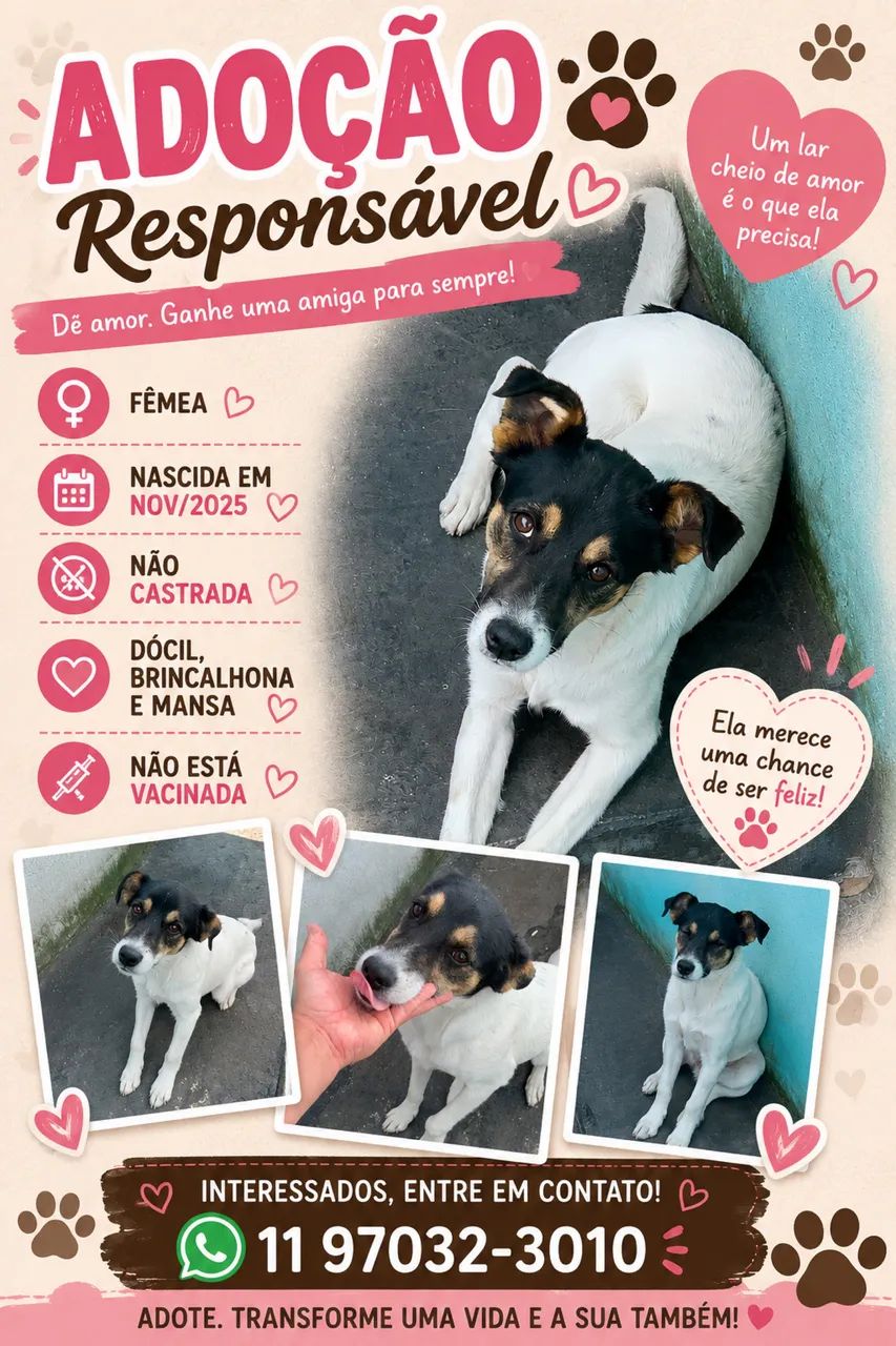 Doação de cadelinha
