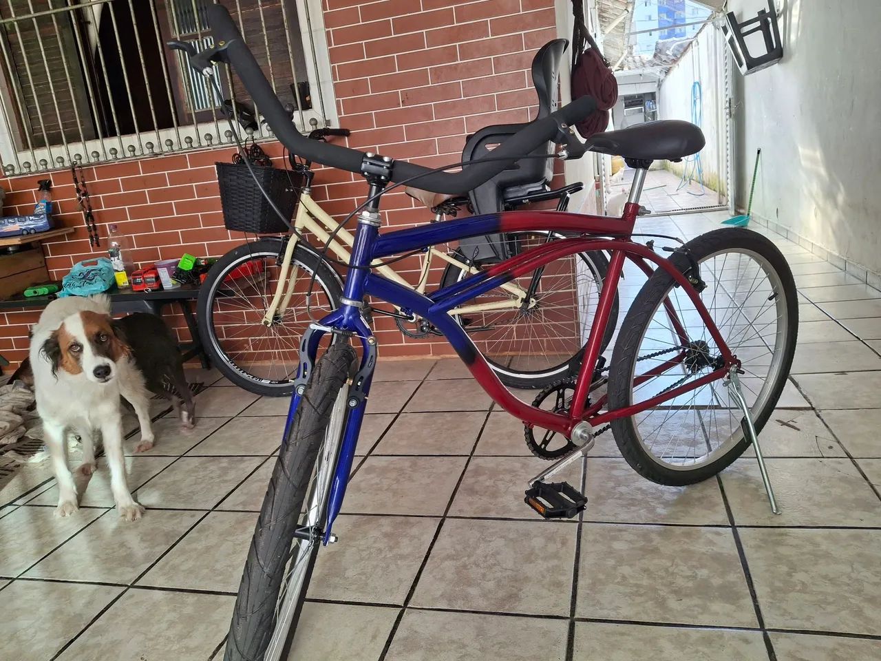 Bicicleta Caiçara 
