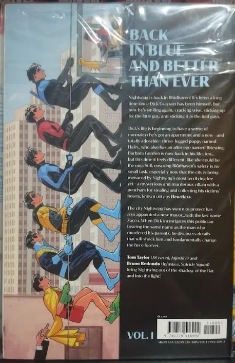 Nightwing Vol. 1: Leaping Into the Light - Foto 2