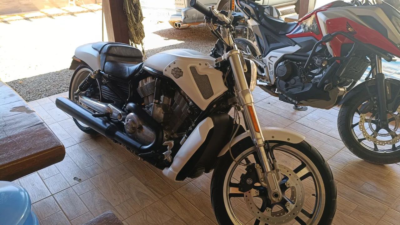 Harley v rod muscle  - Foto 4