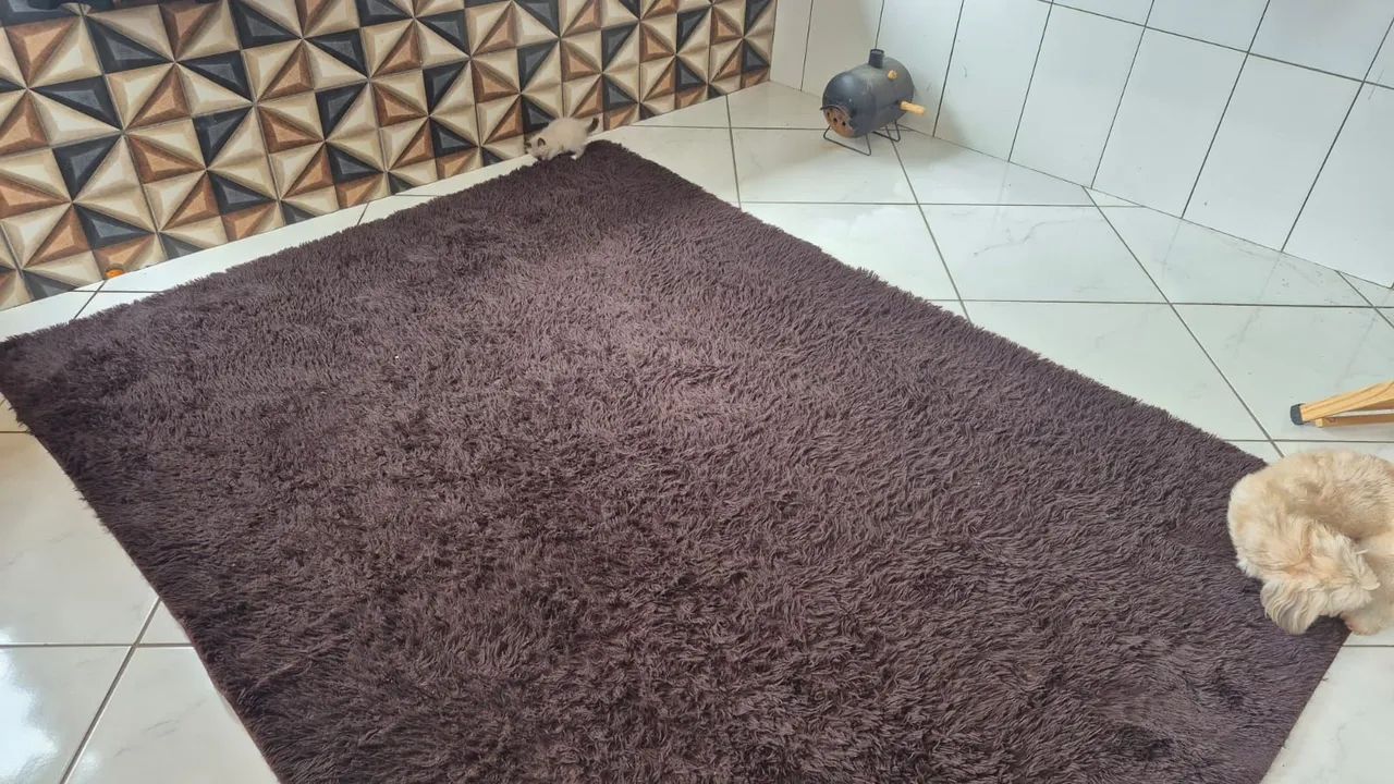 Tapete  - Foto 3