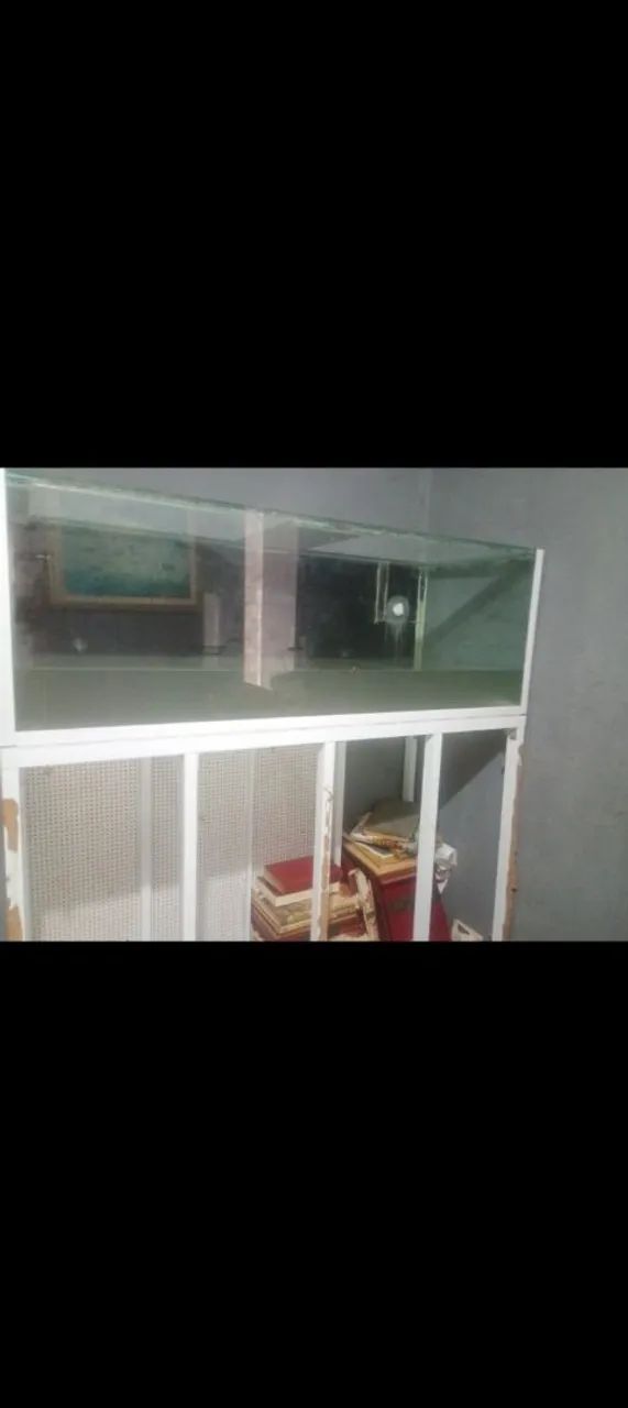Aquário  - Foto 2
