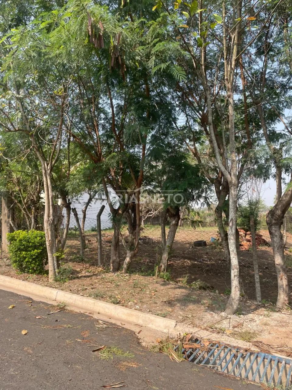 Terreno à venda no bairro São Jorge - Foto 4