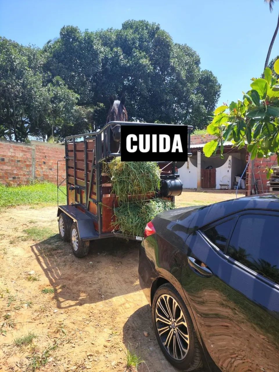 Reboque de cavalo de dois eixos luxo!