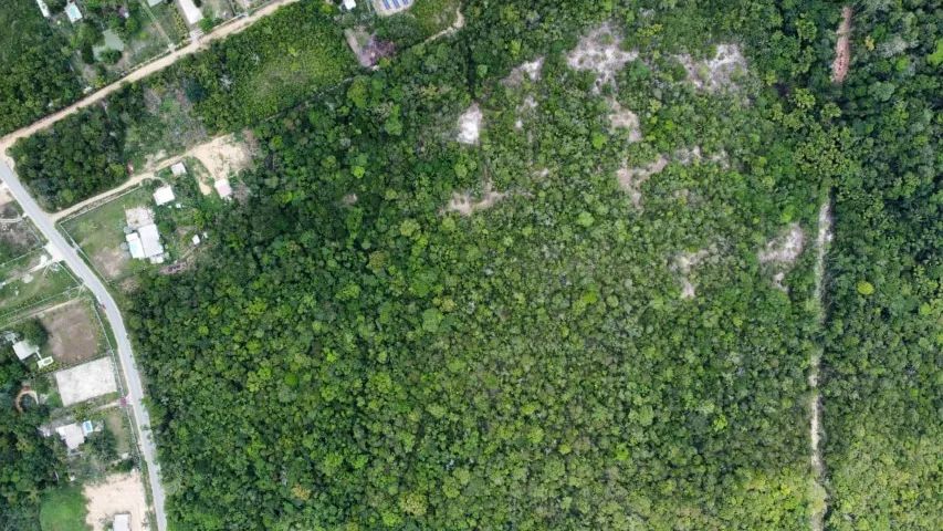 Vendo Terreno na BR-174 - Km 2 - Manaus/AM - Foto 10