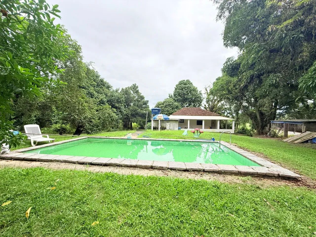 FAZENDINHA 300.000m² Guapimirim