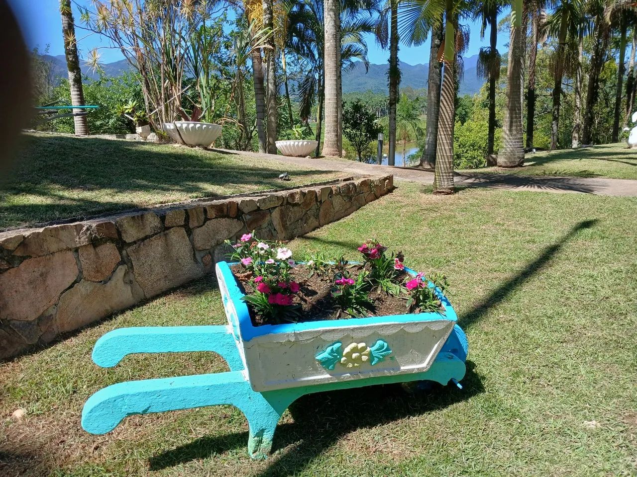 Paisagismo e jardinagem  - Foto 5