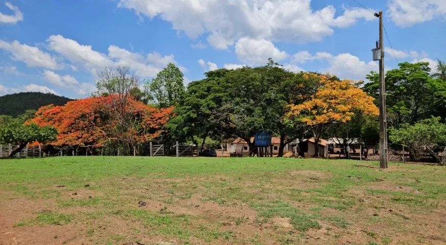 Fazenda 40 alqueires. Serra de Taquaruçu. Palmas-TO - Foto 2