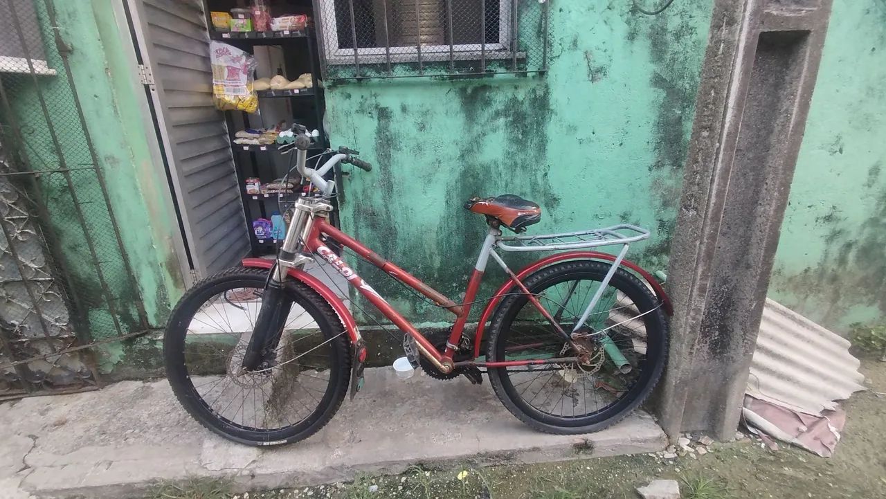 Bicicleta Poti