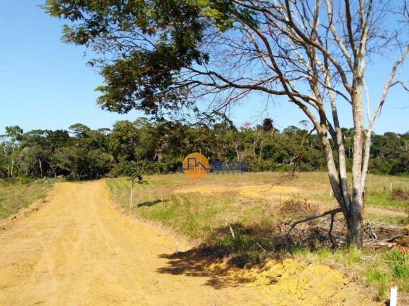 Terreno à venda, 1000 m² por r$ 100.000,00 - vila verde - rio das ostras/rj - Foto 7