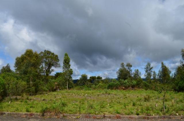 Terreno residencial à venda, vista do vale, canela.