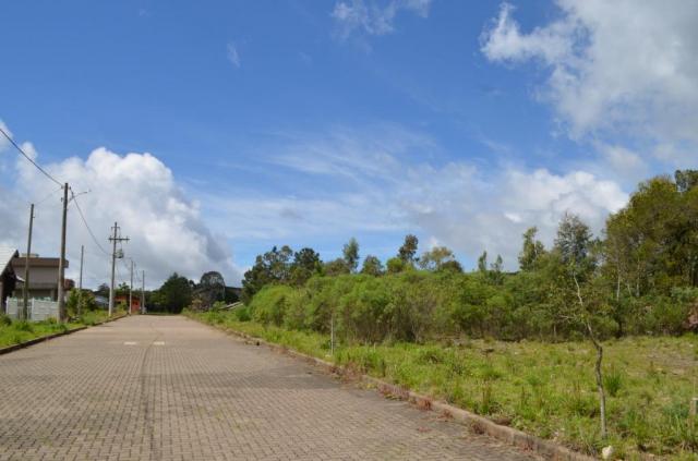 Terreno residencial à venda, vista do vale, canela. - Foto 10