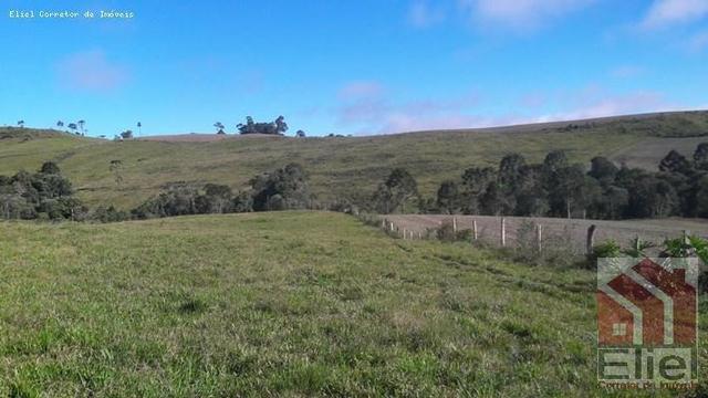 Fazenda para Plantio e Pastagem em Santa Terezinha - Foto 4
