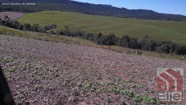 Fazenda para Plantio e Pastagem em Santa Terezinha - Foto 20