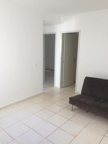 Apartamento para alugar com 2 dormitórios em Jardim palmares, Ribeirão preto cod:14451