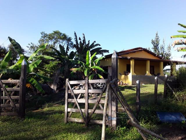 Sitio em Barro Preto-BA - Foto 14