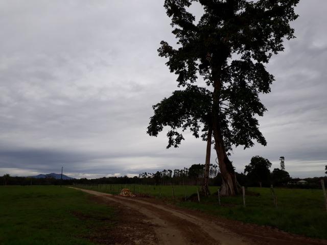 Fazenda Plana em Itapoá com Valor de Ocasião, Aceita parte em Permuta - Foto 15