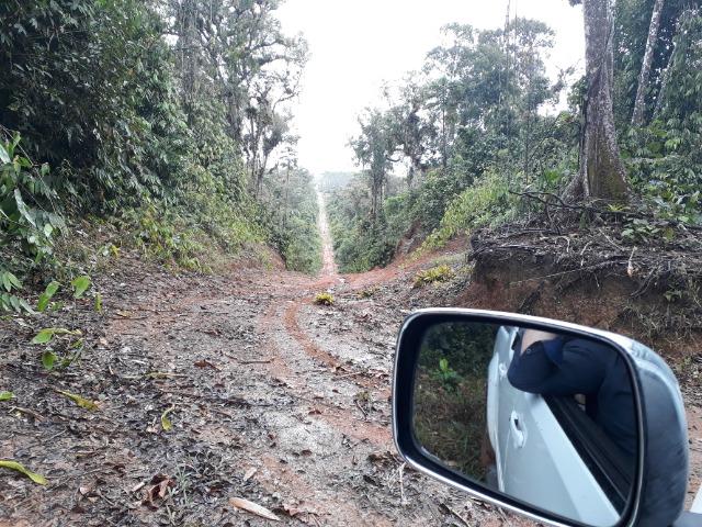 Fazenda Plana em Itapoá, Criação de Gado ou Plantio, Aceita Parte em Permuta - Foto 19