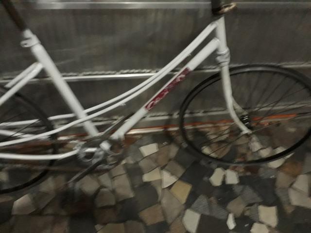 Caloi ceci - Foto 2
