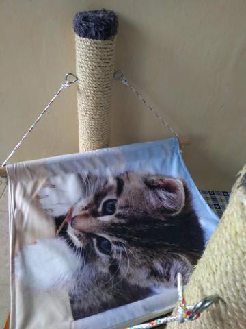 Brinquedo de gato com arranhador - Foto 2