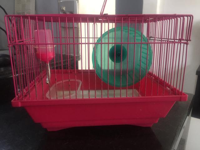 Gaiola de Hamster - Foto 2