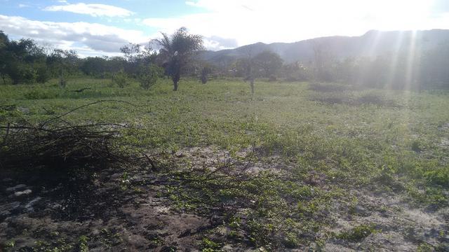 Terreno para Chácara ja cercado - Foto 5