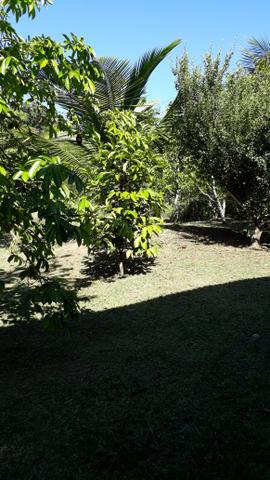 Um sítio para o seu lazer - Foto 12