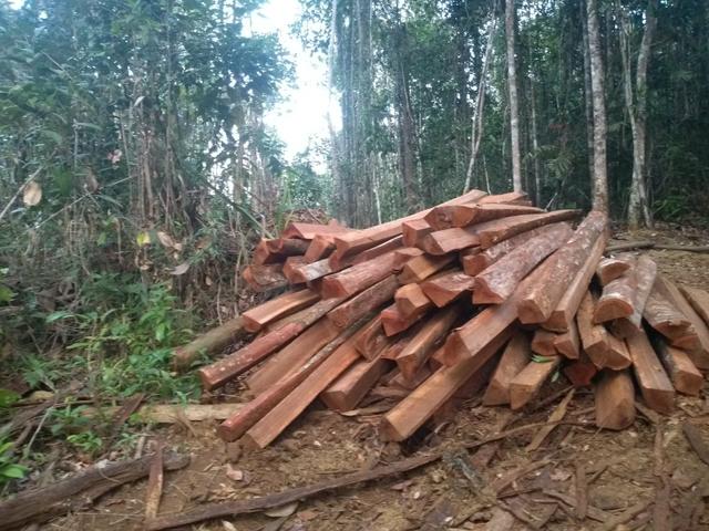 Fazenda em camamu R$ 1.500.00 a tarefa a mais barata do Brasil - Foto 12