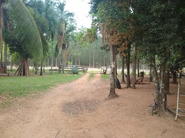 Fazenda - Foto 4
