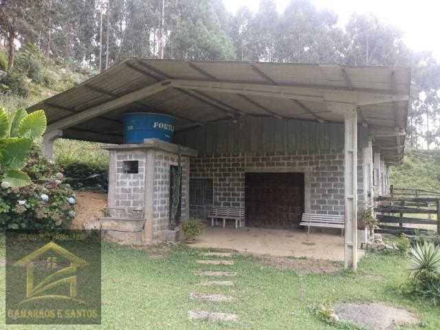 Aluga-se chácara com 18 alqueires com casa e estrutura para criação de gado - Foto 12