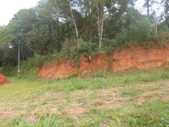 Chácara 10.000 m² - Foto 2