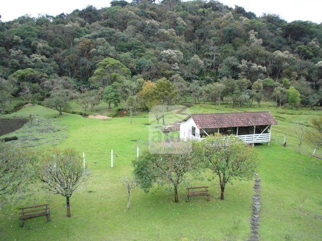 Chácara residencial à venda. - Foto 15