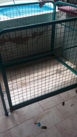 Cerquinha para pets