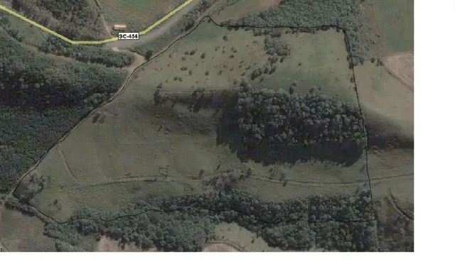 Propriedade Rural Reflorestada com Eucalípto - Foto 3