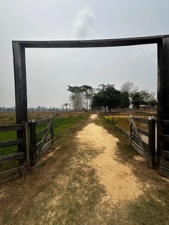  Vendo uma colônia de 15 hectares, no ramal da alcobras no km15  - Foto 5